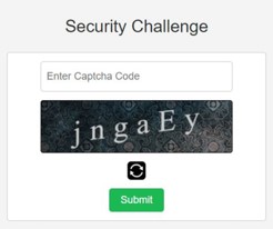 security challenge